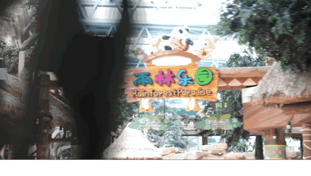 95482aa40bada2b66a3dd39ecc45676e-sz_5091657.gif