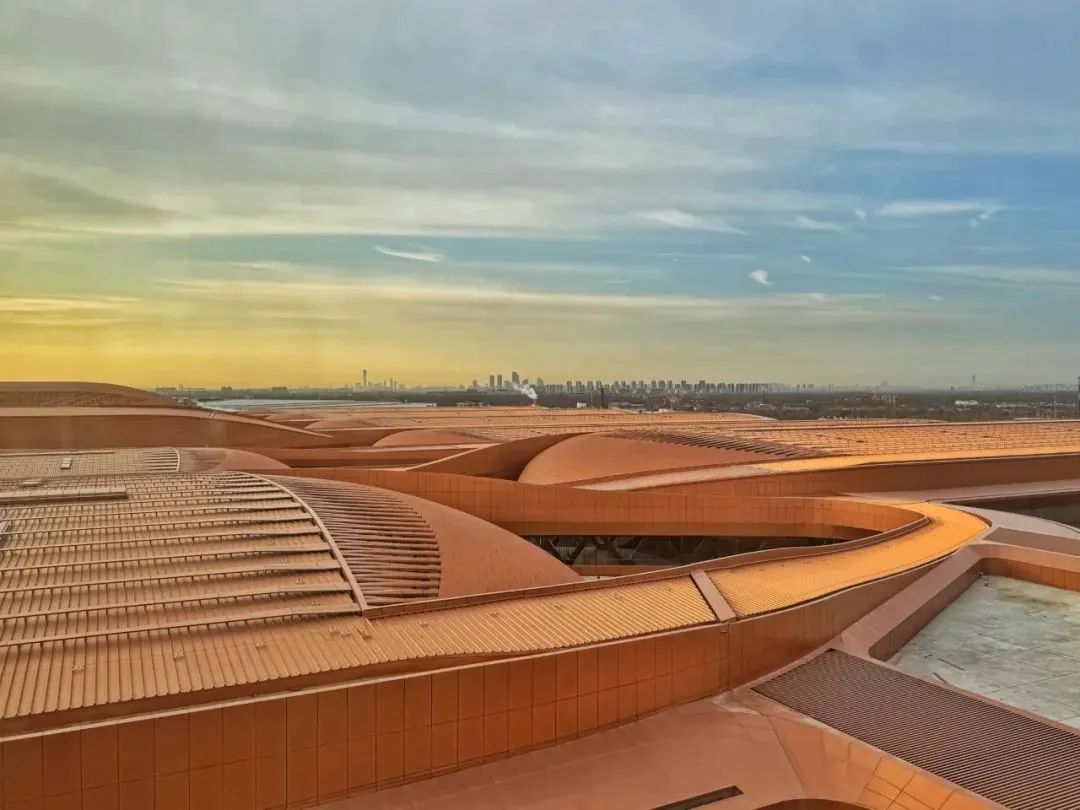 fileUpload (10).jpg fileUpload (10).jpg